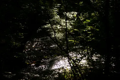 DSC_2802 (Large).JPG